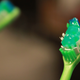 Image for article titled The Heart Wants What the Heart Wants, and It Wants You to Brush Your Teeth